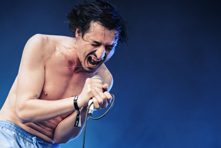 the wombats